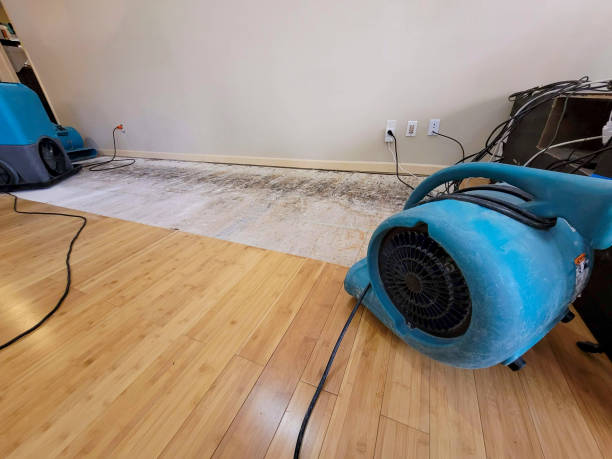 Professional Ceiling Water Damage Repair technician working in Neosho, WI